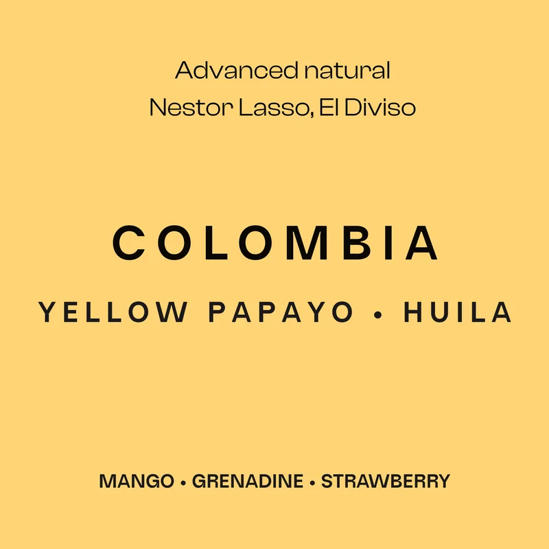 yellow papayo, colombia coffee from sustain coffee co