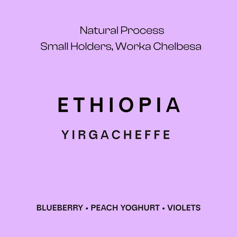 ethiopia, ethiopia coffee from sustain coffee co