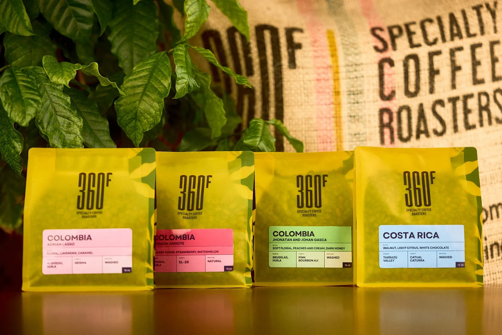 360F Coffee Roasters in Miami, specialty coffee roaster