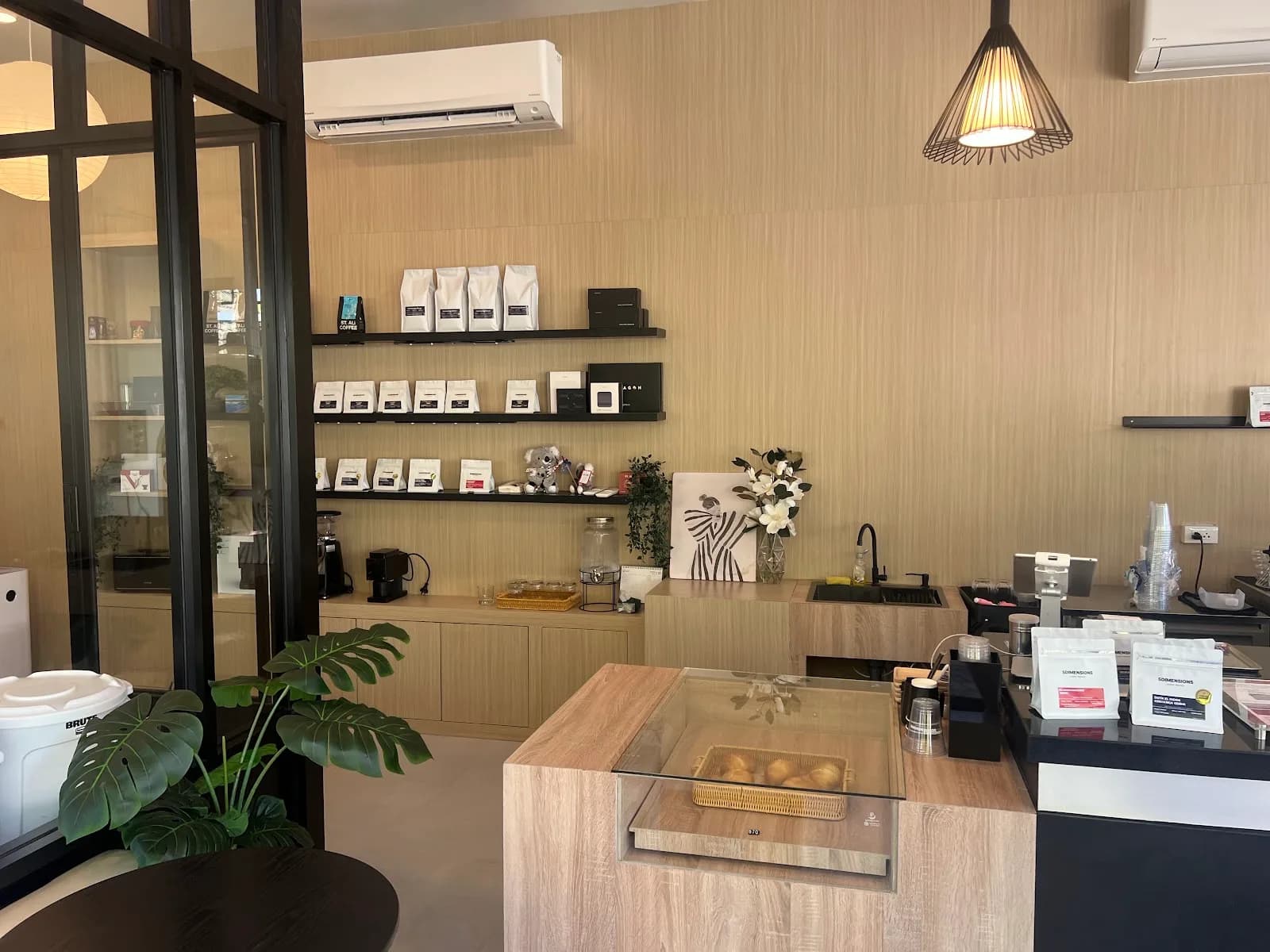 5Dimensions Coffee Roaster in Chiang Mai, specialty coffee roaster