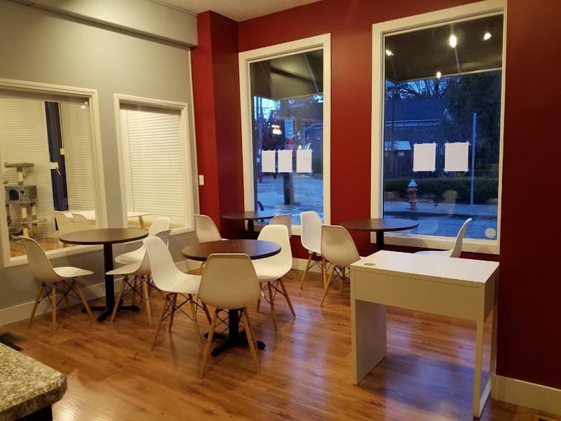 affoGATO Cat Cafe in Cleveland, specialty coffee cafe
