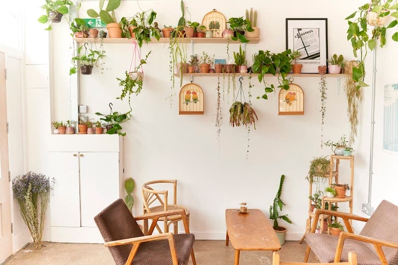 Albatross Café in Bristol, specialty coffee cafe