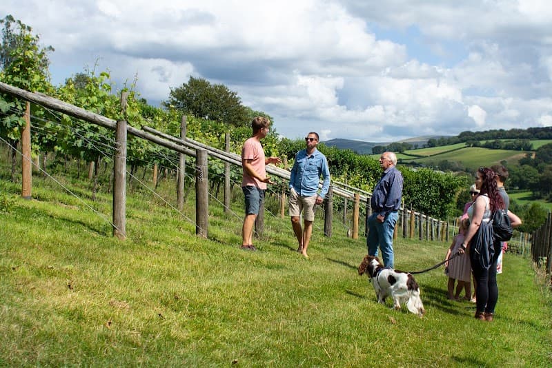 Alder Vineyard in Okehampton, specialty coffee cafe