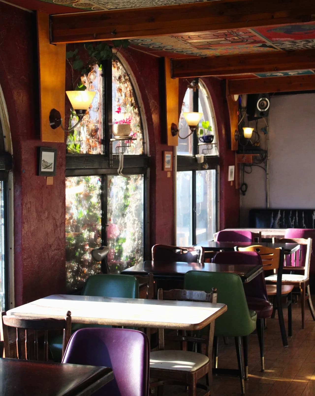 Alleycat Coffee House in Fort Collins, specialty coffee cafe