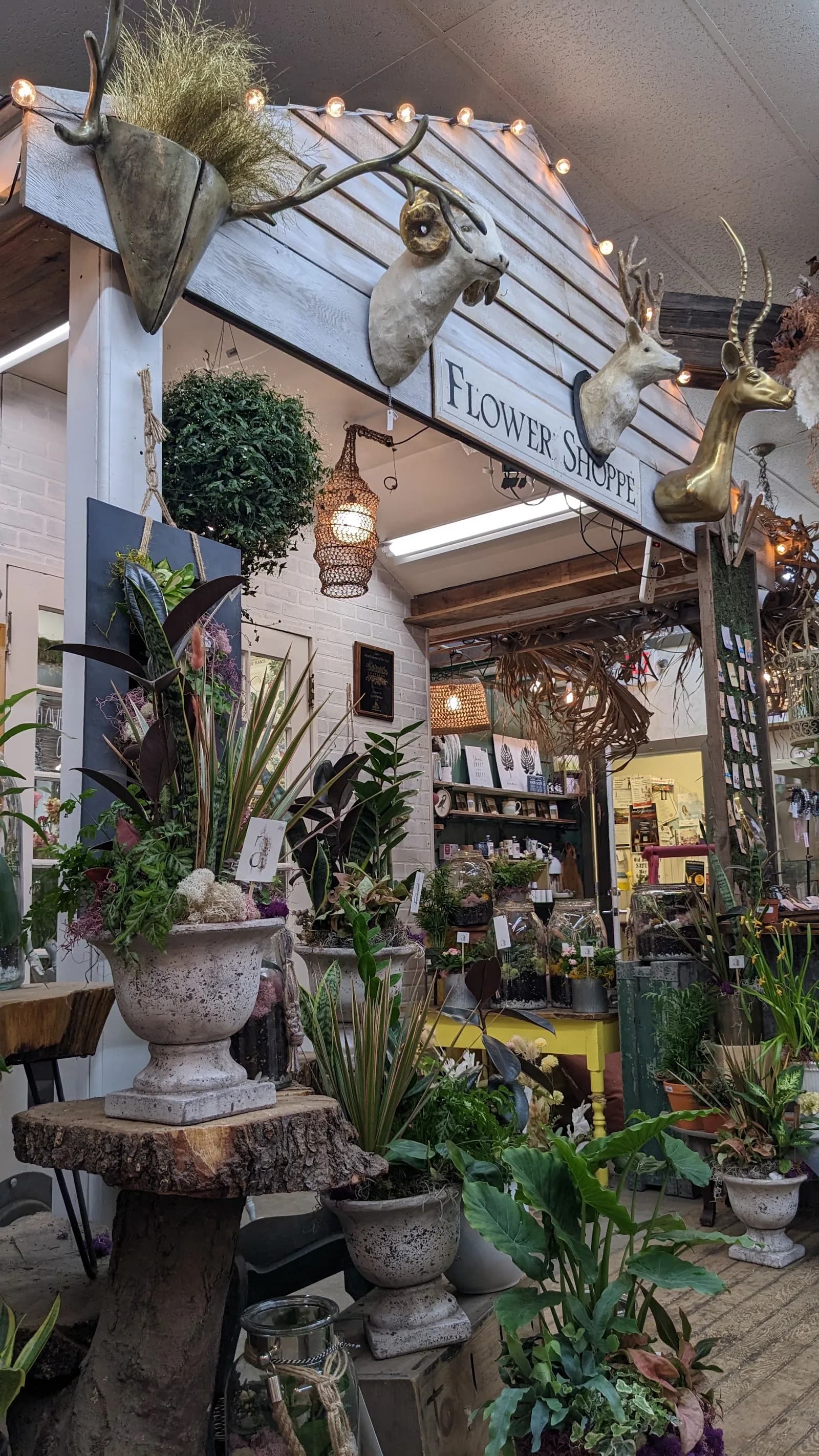 Apotheca Flowers in Manchester, specialty coffee cafe