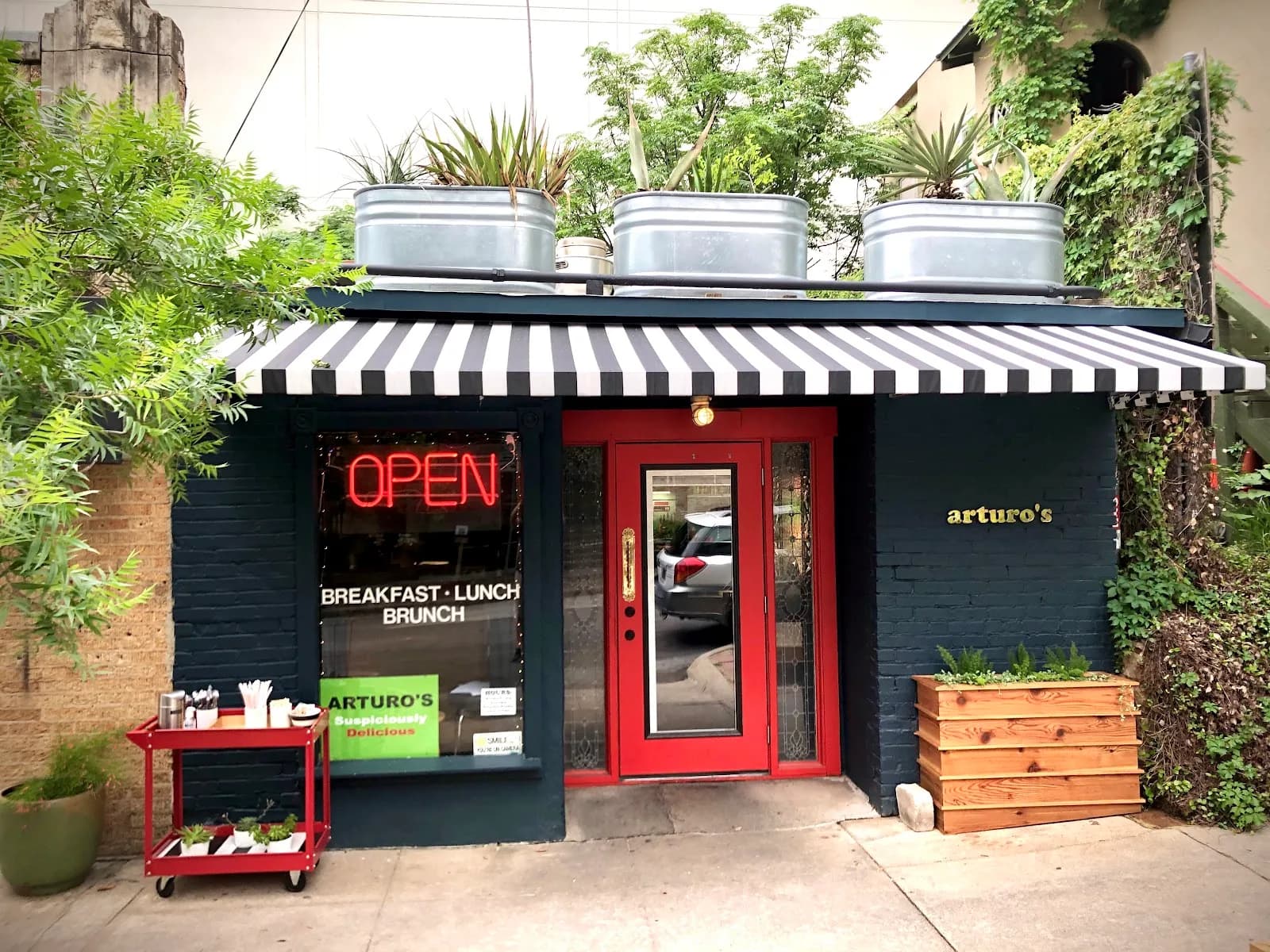 Arturo's Underground Cafe in Austin, specialty coffee cafe
