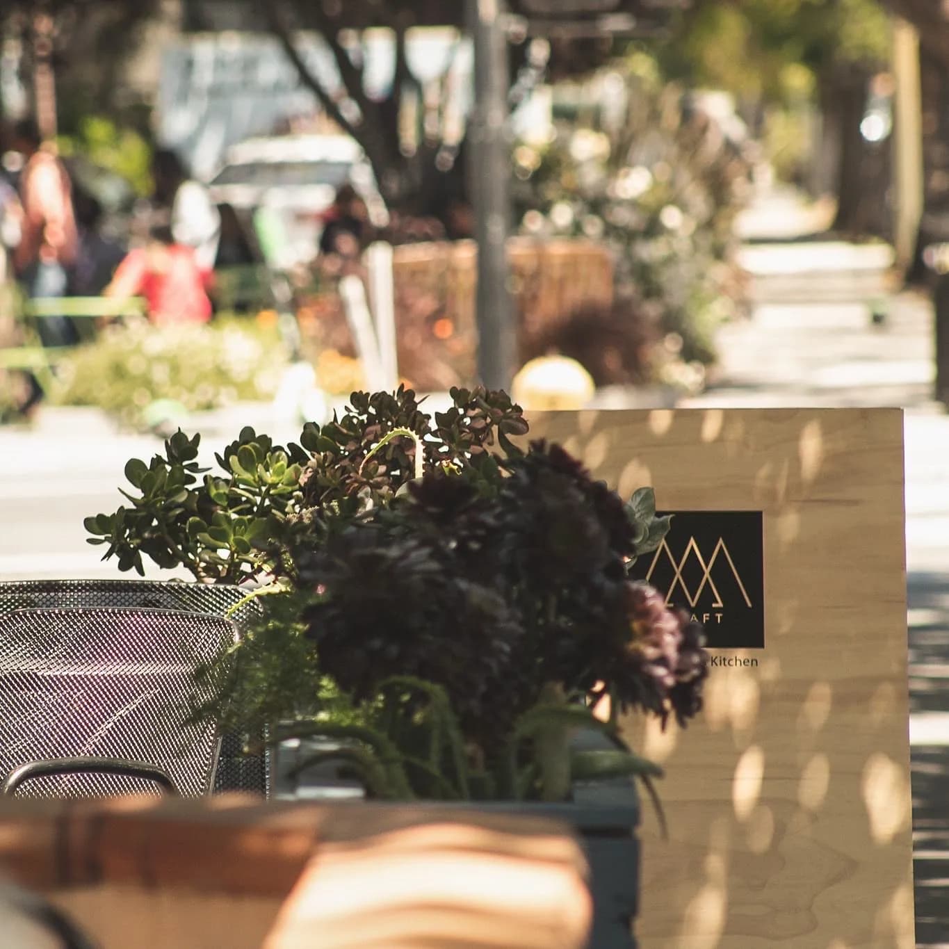 Backyard Brew in San Jose, specialty coffee roaster