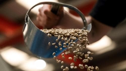 Bailies Coffee Roasters in Belfast, specialty coffee roaster