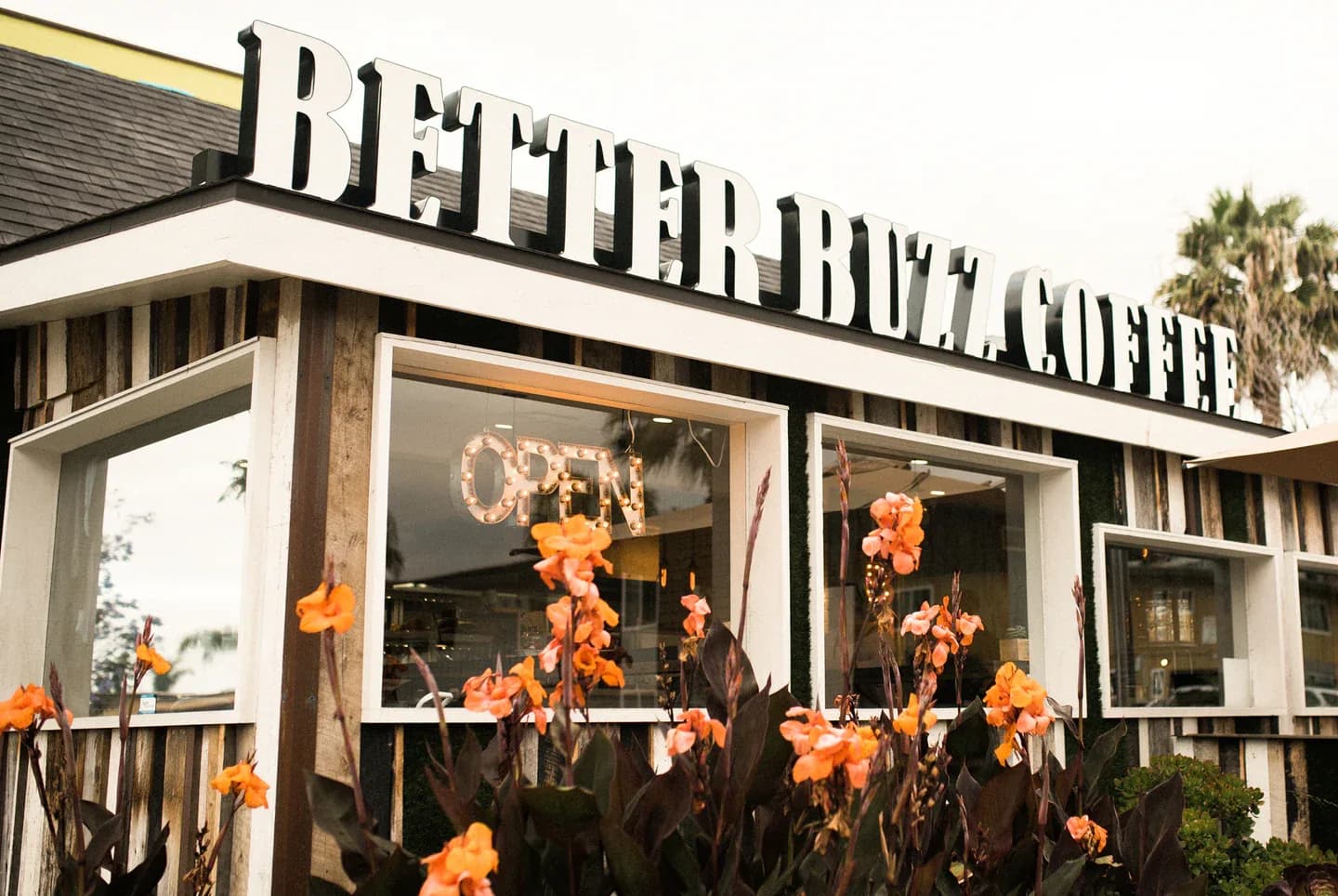 Better Buzz Coffee Point Loma in San Diego, specialty coffee roaster
