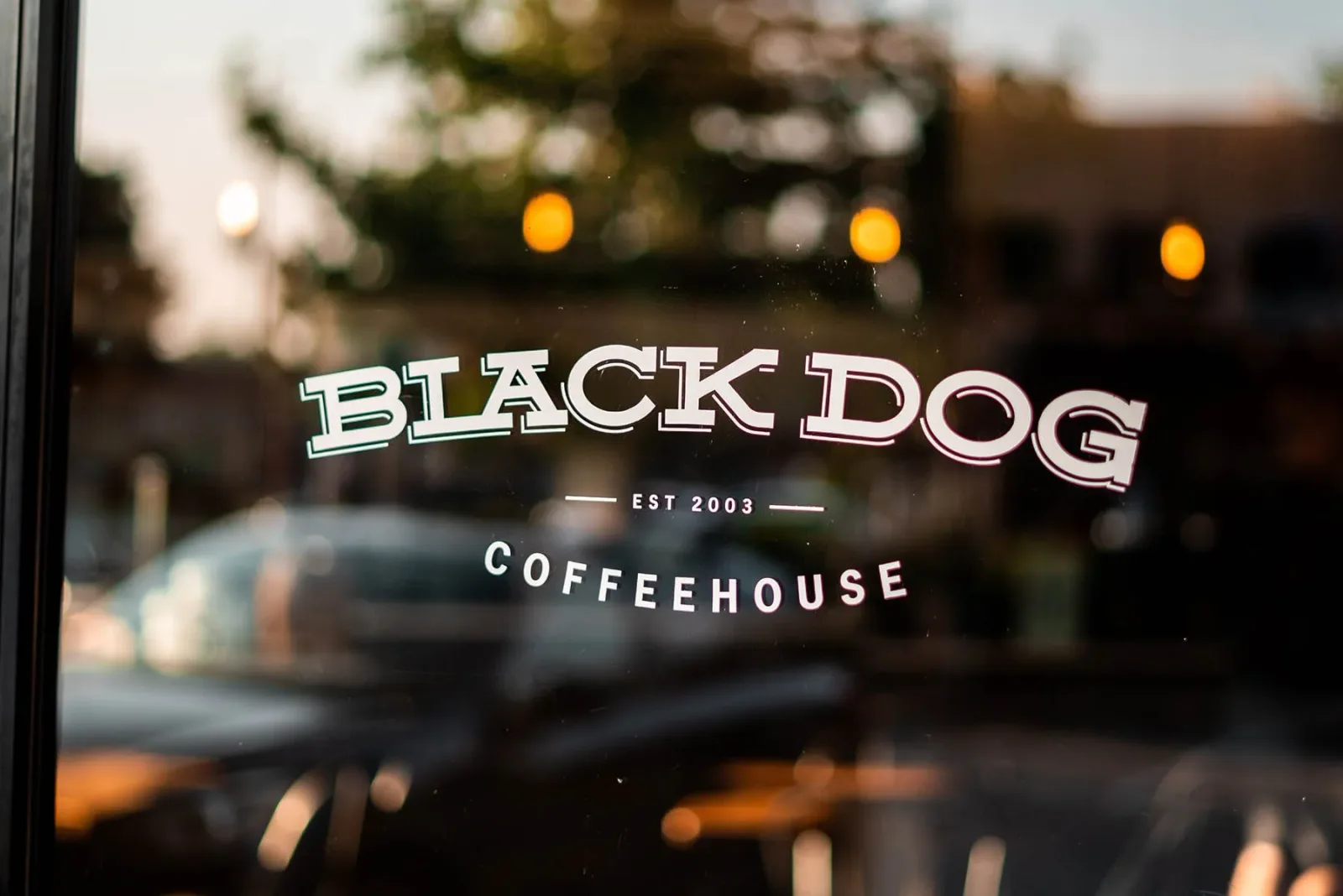 Black Dog Coffeehouse in Lenexa, specialty coffee cafe