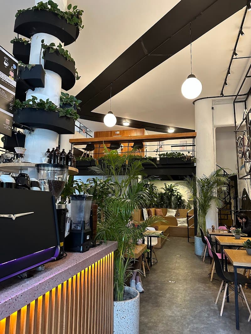 Blend Station in Mexico City, specialty coffee cafe
