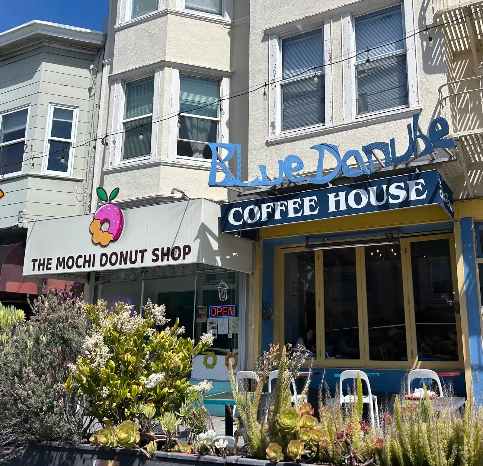 Blue Danube Coffee House in San Francisco, specialty coffee cafe