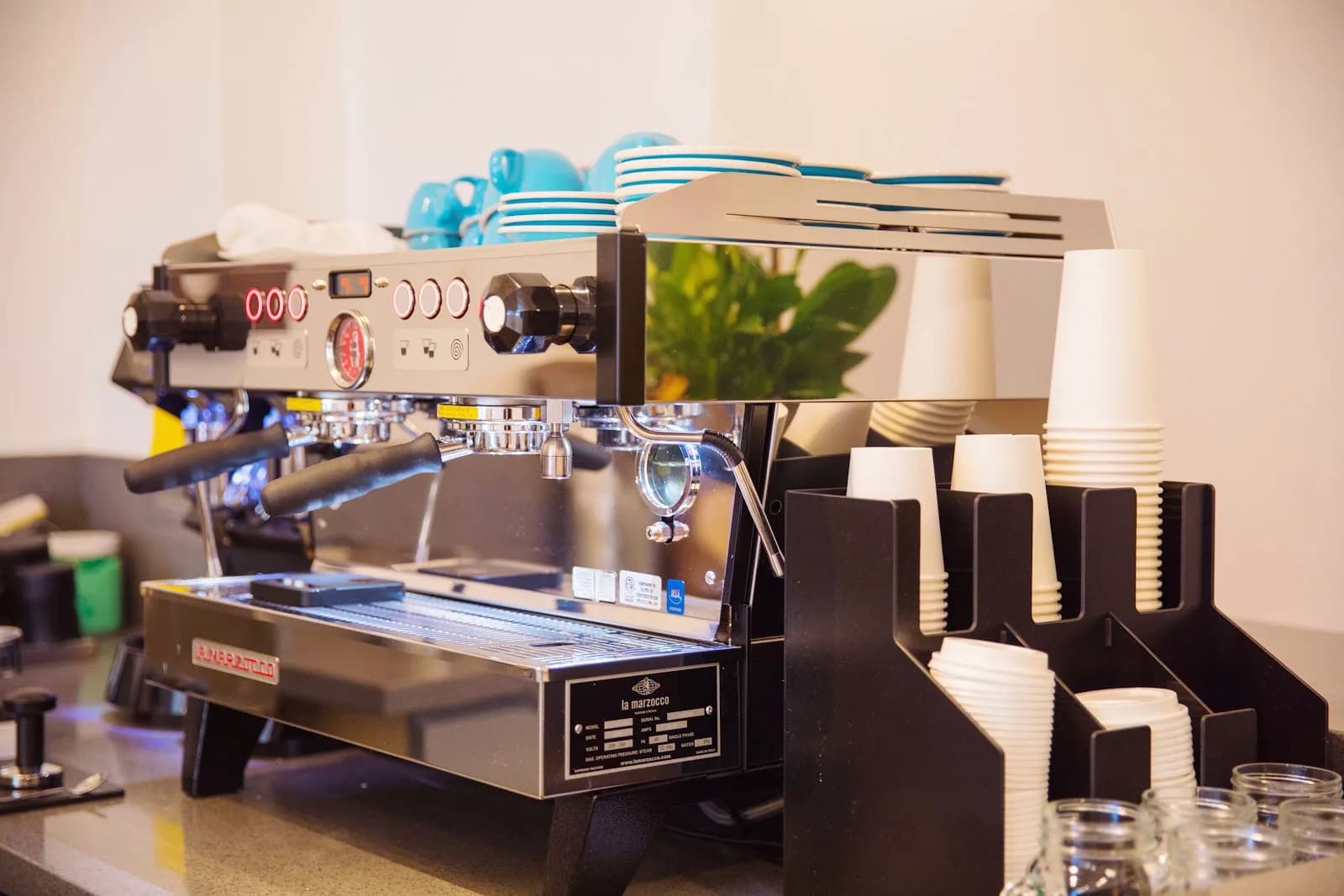Blue House Café in San Francisco, specialty coffee cafe