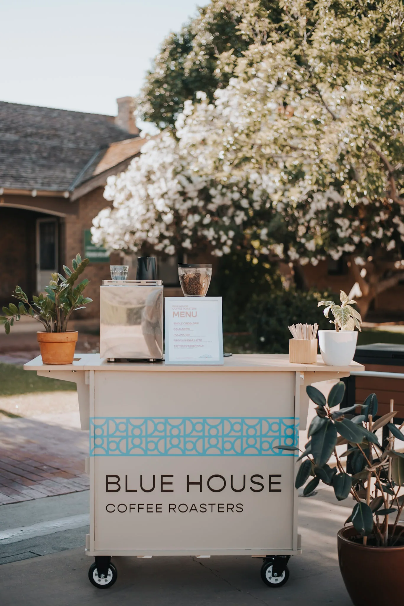 Blue House Coffee in Phoenix, specialty coffee roaster