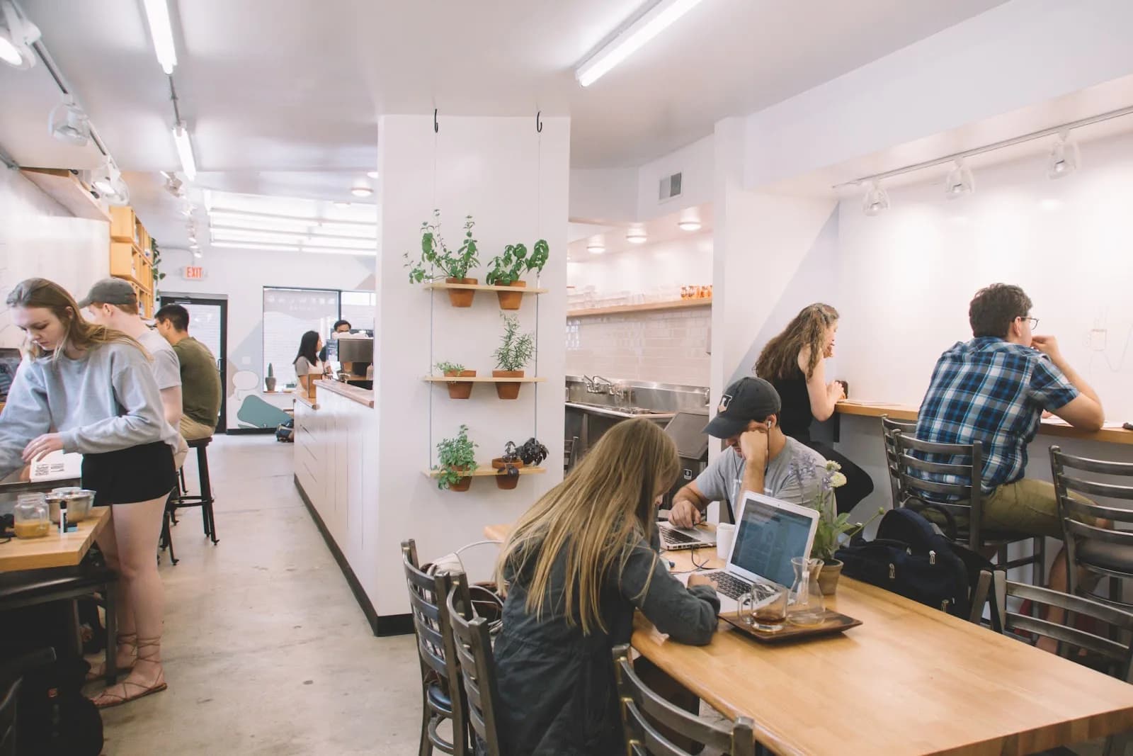 BrewLab Coffee in Urbana, specialty coffee cafe