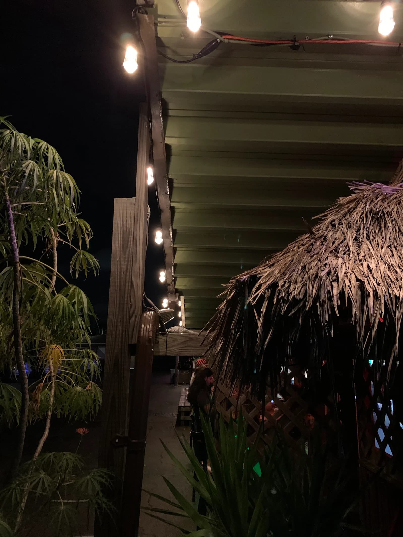 Bula Kava Bar & Coffee House in St. Petersburg, specialty coffee cafe