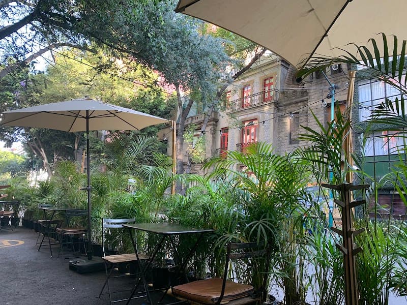 Café Nin in Mexico City, specialty coffee cafe
