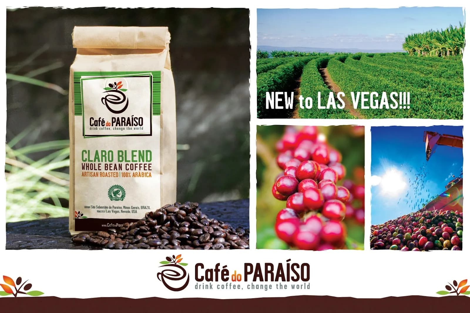 Café do Paraíso in Las Vegas, specialty coffee roaster