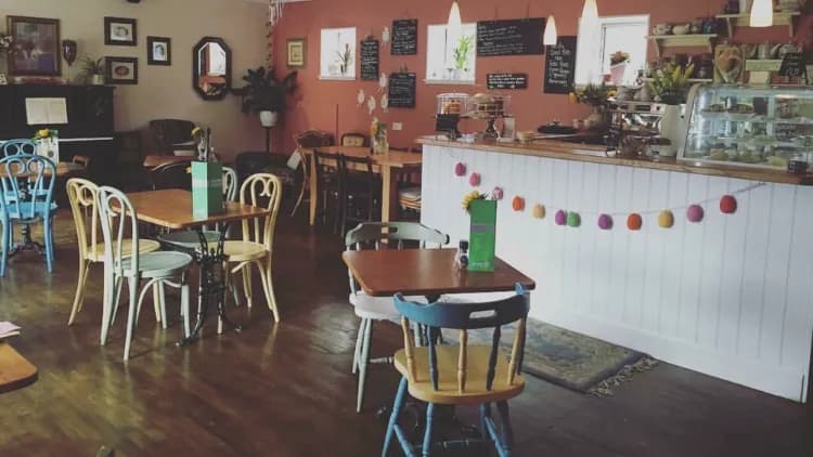 Cafe Eighty2 in Inverness, specialty coffee cafe