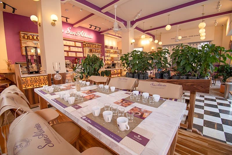 Café San Alberto Cartagena - Plaza Santo Domingo in Cartagena, specialty coffee cafe