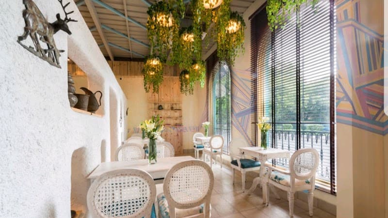 Cafe Tesu in New Delhi, specialty coffee cafe