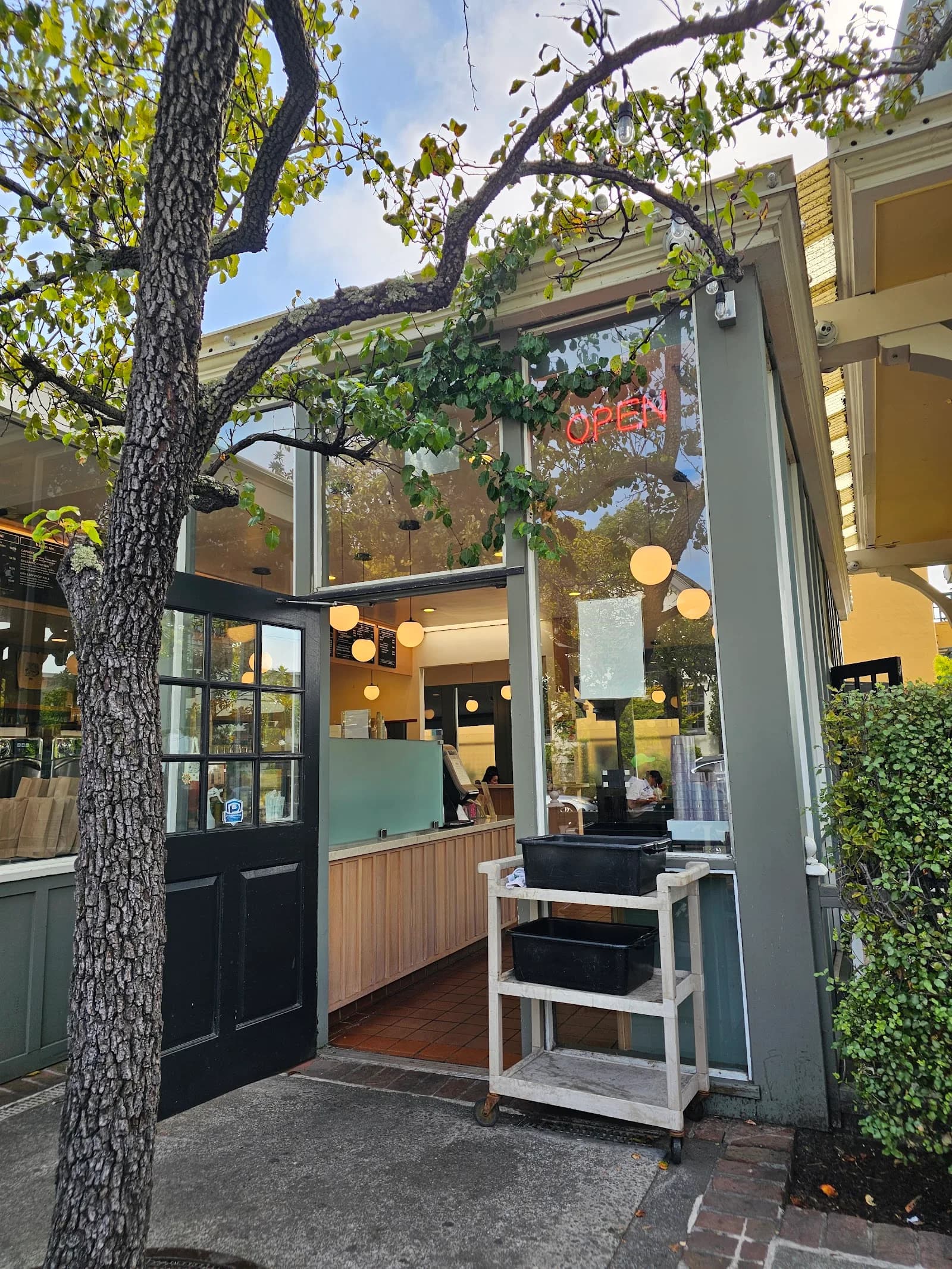 Caffè Strada in San Francisco, specialty coffee cafe