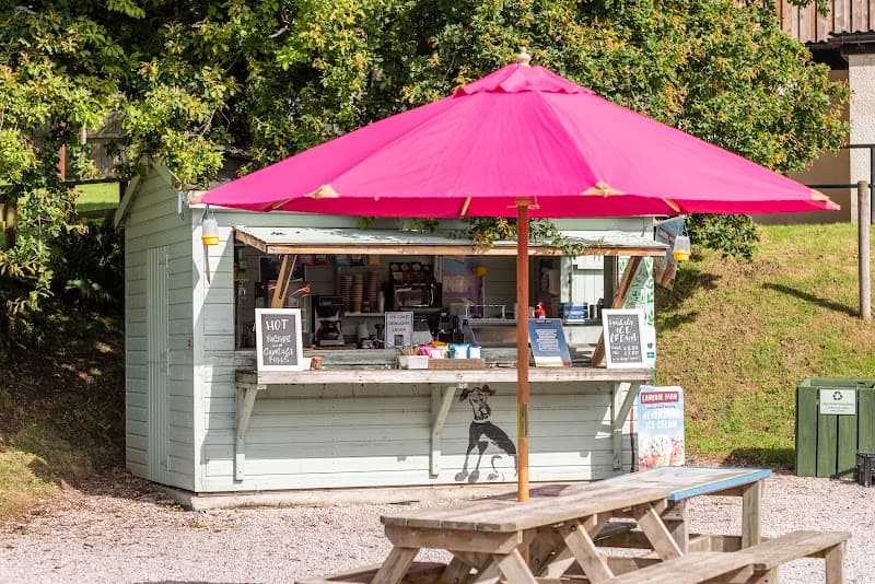Canonteign Falls in Exeter, specialty coffee cafe