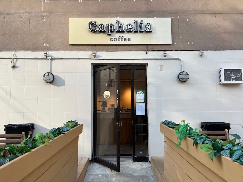 Caphelia Coffee in Toronto, specialty coffee roaster