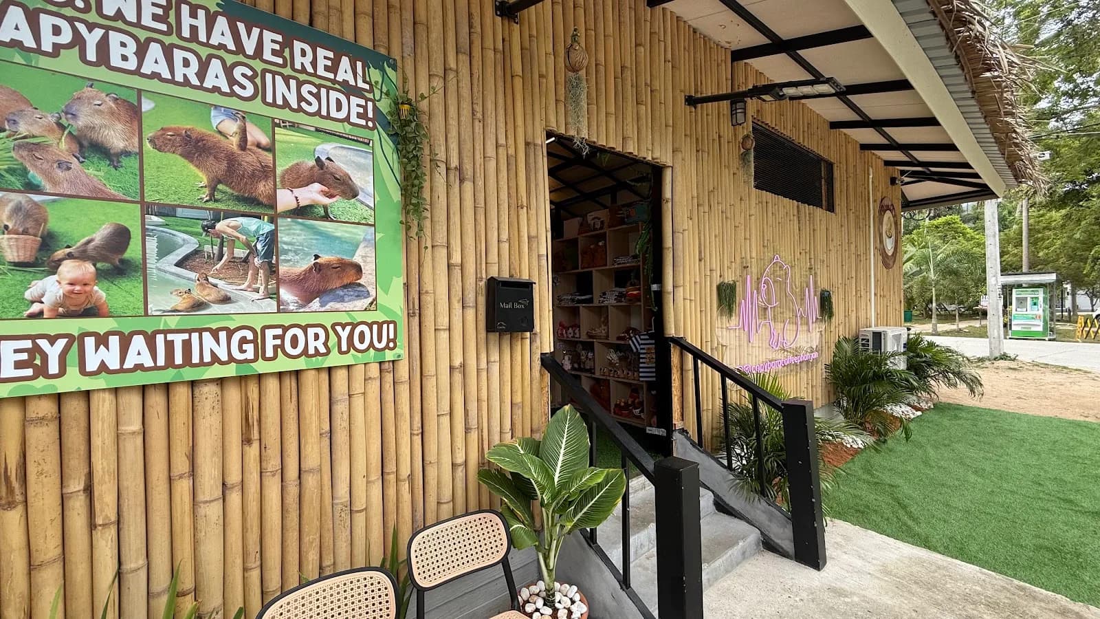 Capybara Coffee Phangan in Koh Phangan, specialty coffee cafe