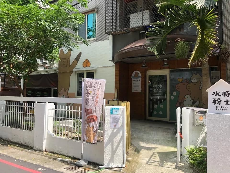 Capybara Knight in New Taipei, specialty coffee cafe