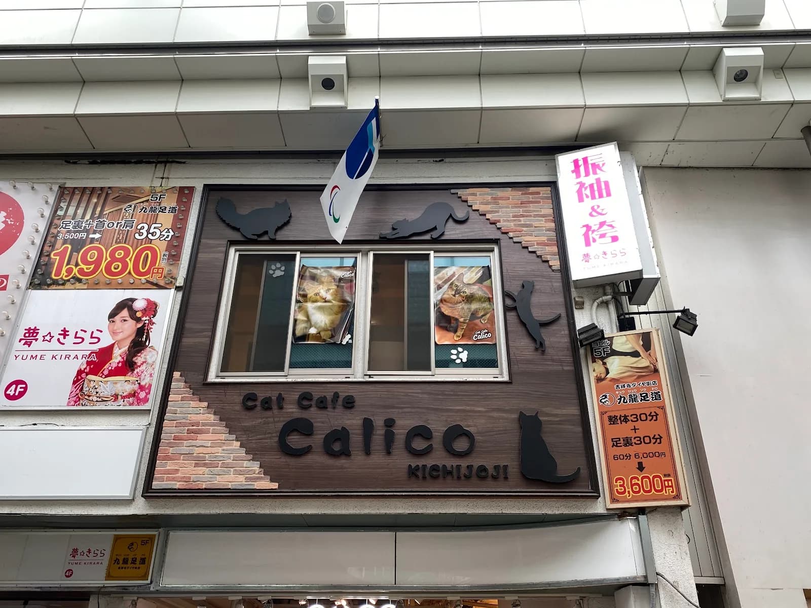 Cat Cafe Calico in Tokyo, specialty coffee cafe