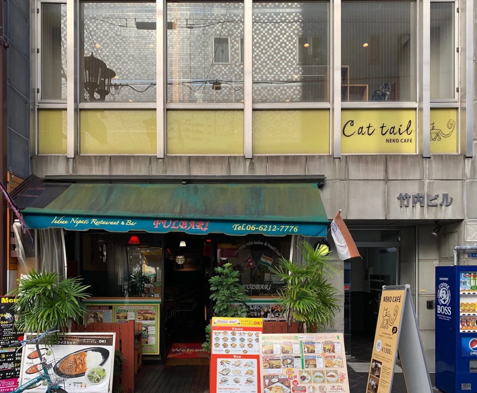 Cat cafe CAT TAIL in Osaka, specialty coffee cafe
