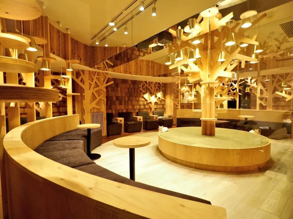 Cat Cafe Mocha /Ikebukuro West Store in Tokyo, specialty coffee cafe