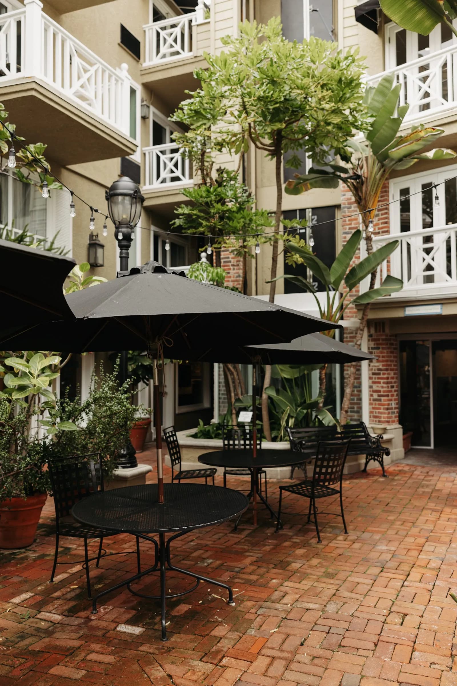 Catalina Coffee & Cookie Co in Los Angeles, specialty coffee cafe
