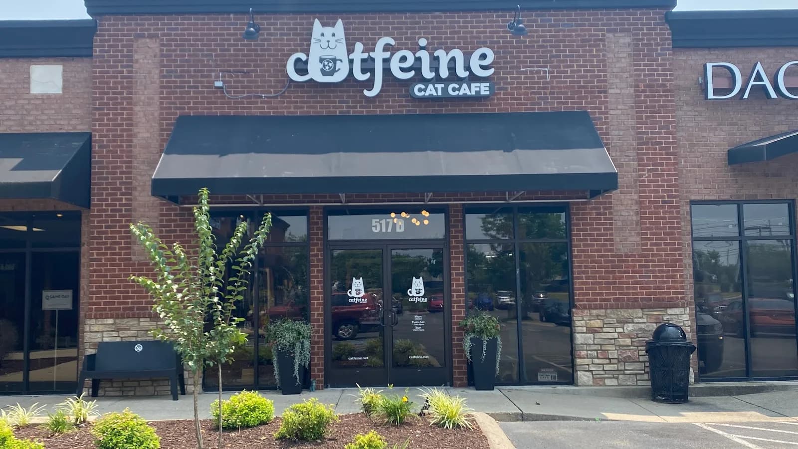 Catfeine Cat Cafe in Murfreesboro, specialty coffee cafe