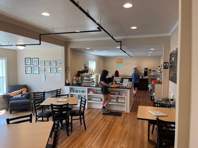 Coffee Cats Cafe in Des Moines, specialty coffee cafe