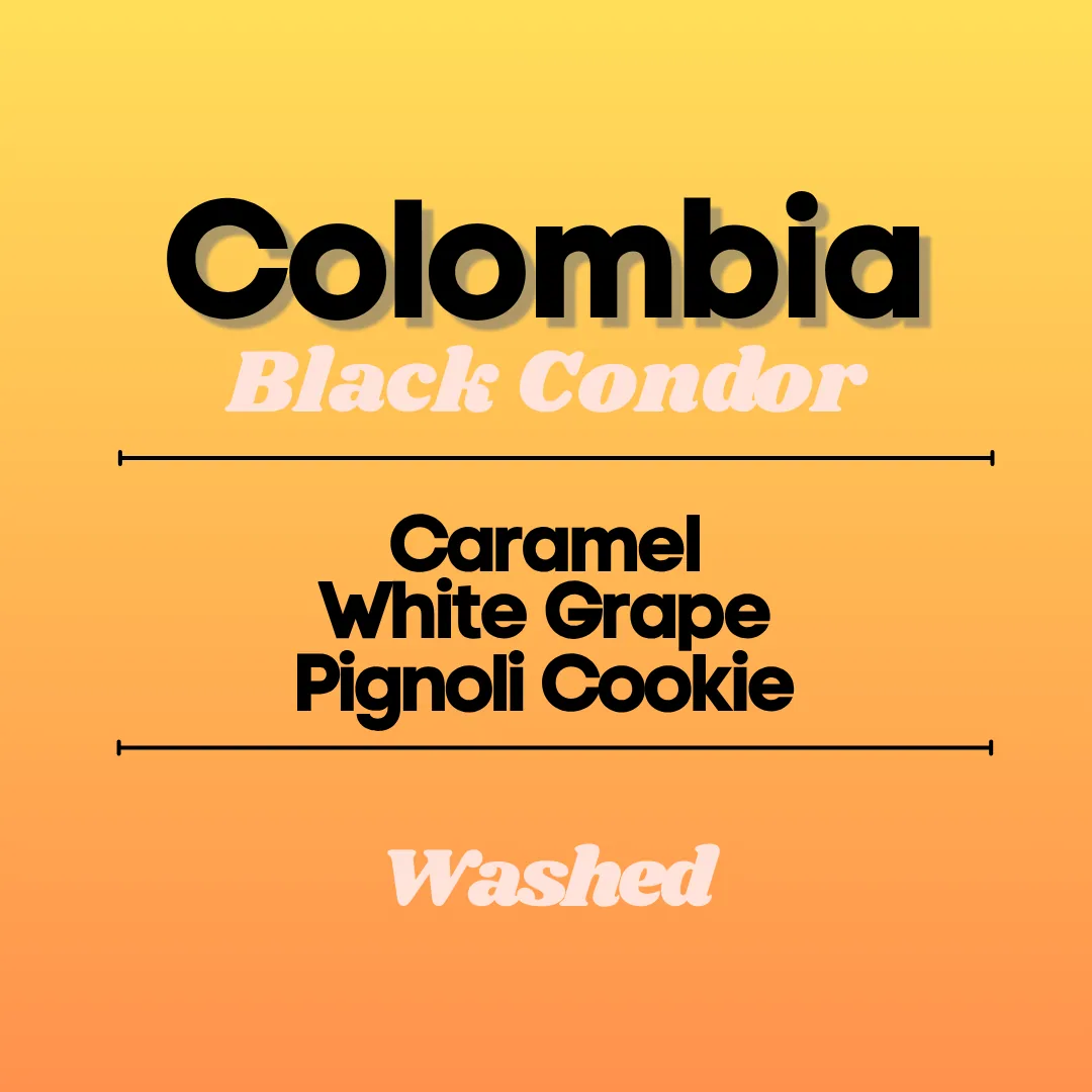 colombia black condor (wholesale), colombia coffee from flux coffee