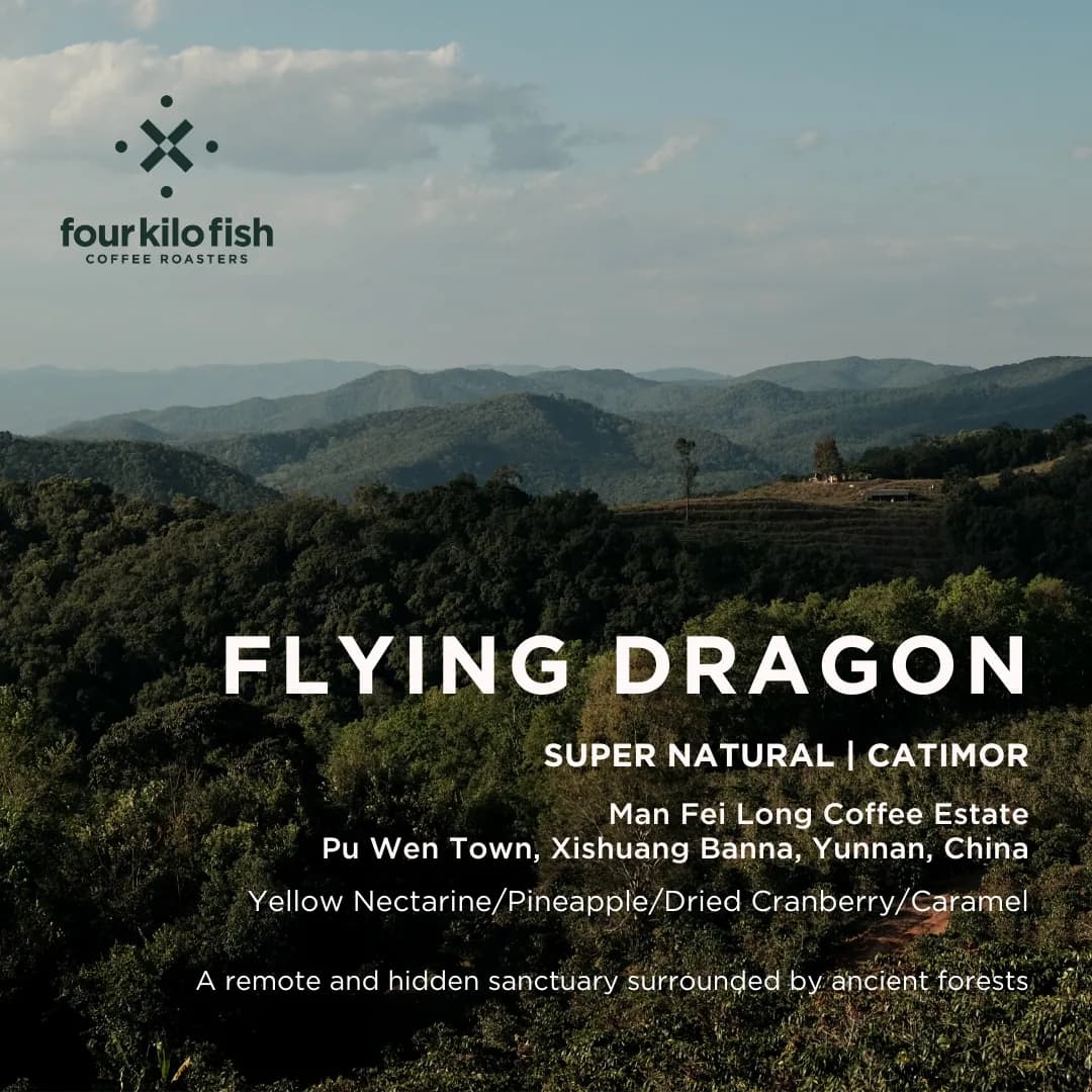 flying dragon | super natural catimor | xishuang banna, yunnan, china |filter 200g, yunnan coffee from four kilo fish coffee & tea