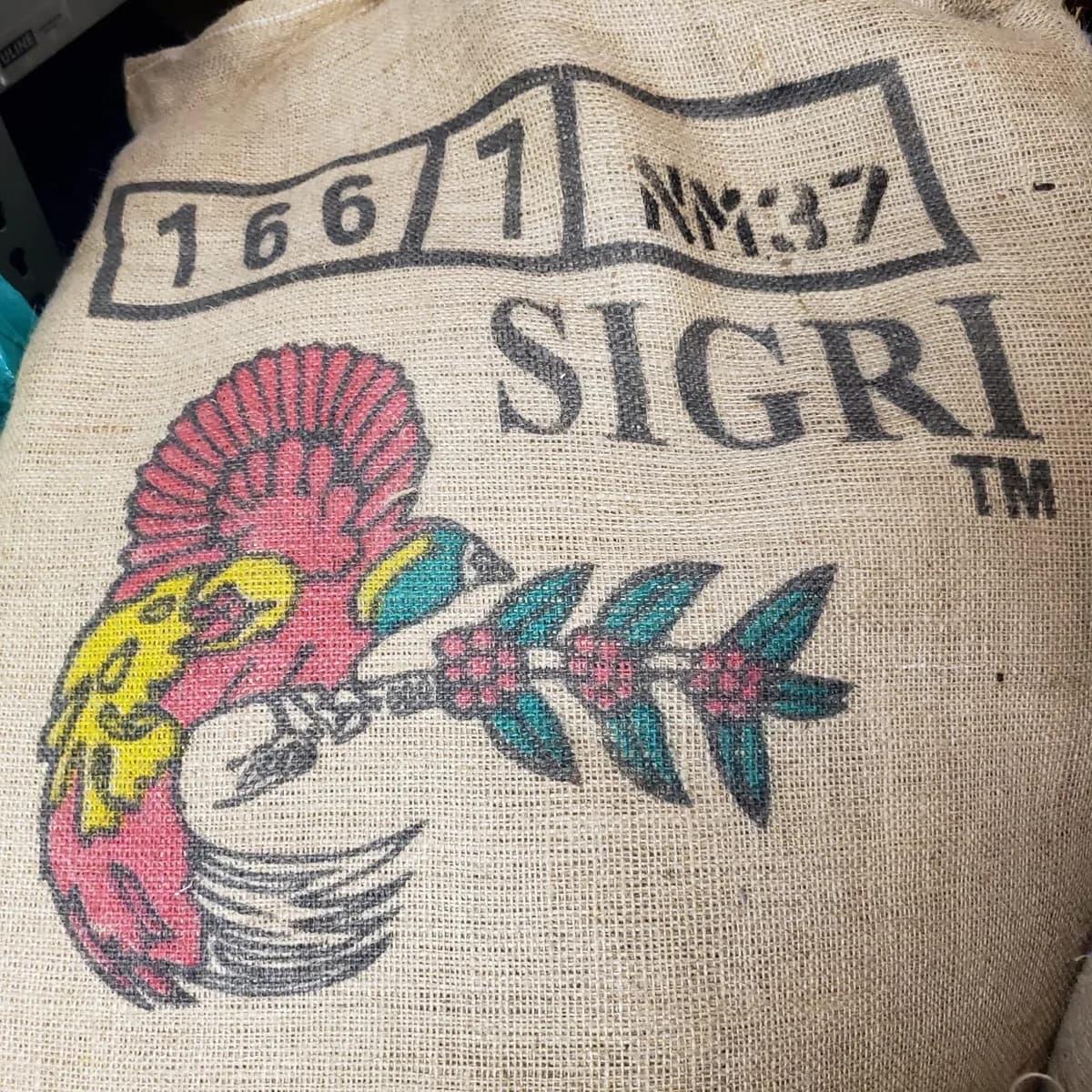 papua new guinea sigri estate peaberry coffee, papua new guinea coffee from lucas roasting company, llc