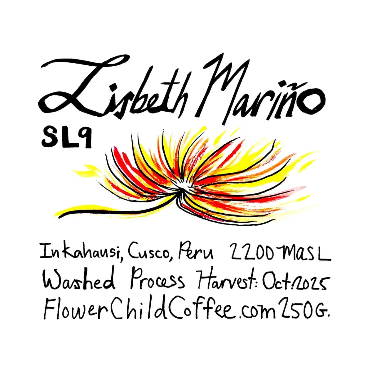 lisbeth mariño - sl9, peru coffee from flower child