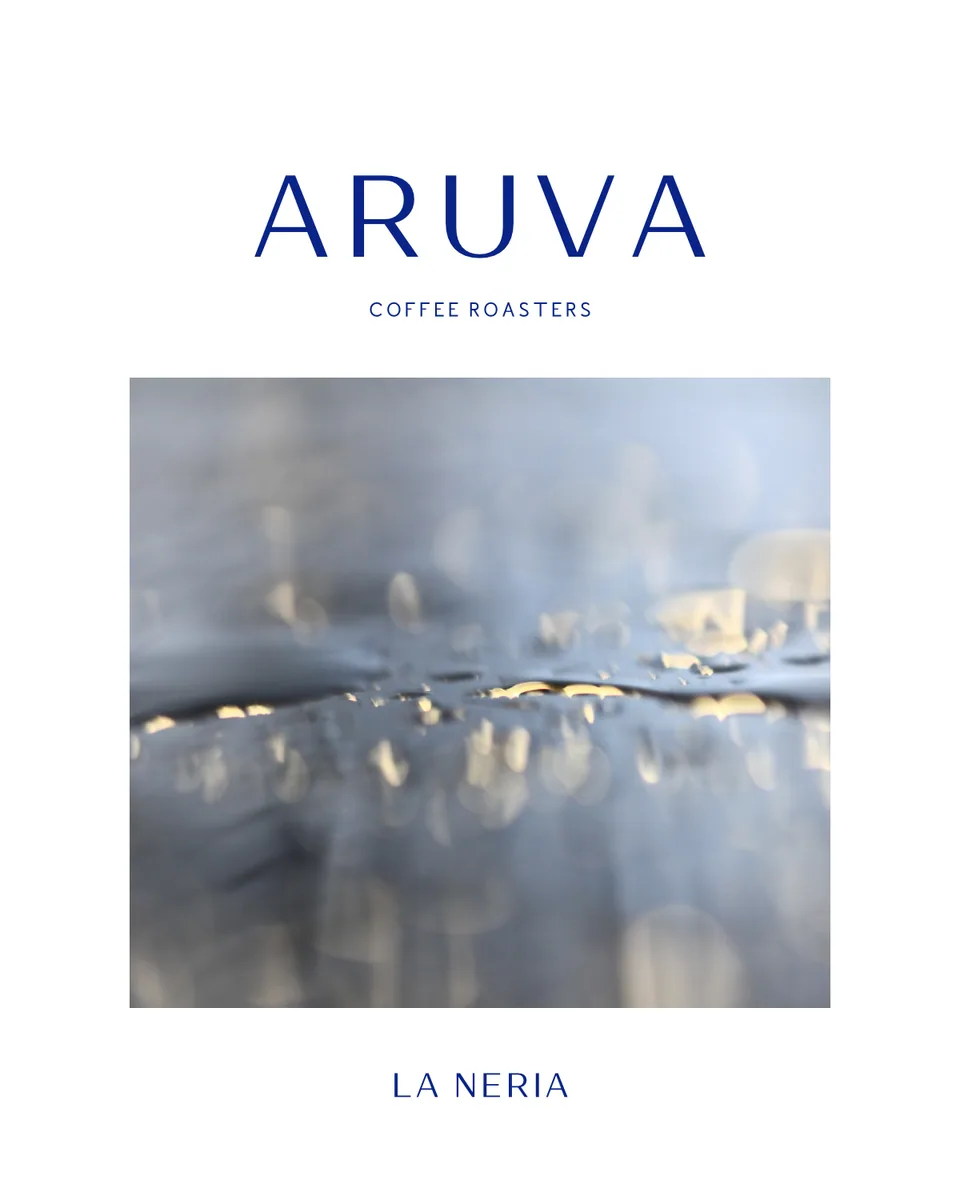 veracruz mayoreo, mexico coffee from aruva café