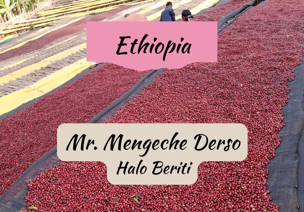 ethiopia mr. mengeche derso | halo beriti, ethiopia coffee from draft coffee roasters