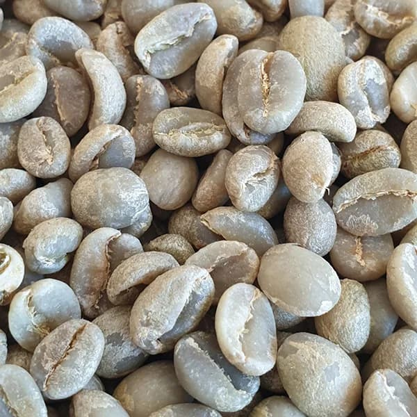 ethiopian yirgacheffe unroasted green coffee beans 1kg, ethiopia coffee from chiasso coffee roasters