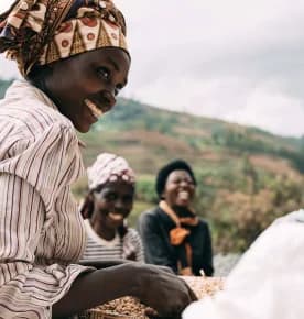 ethiopia - guji alaka, natural (grade 1), ethiopia coffee from neighbourhood coffee roasters