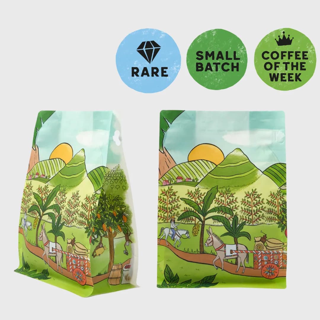 tanzania twiga kilimanjaro | washed & natural, tanzania coffee from coffee bean shop