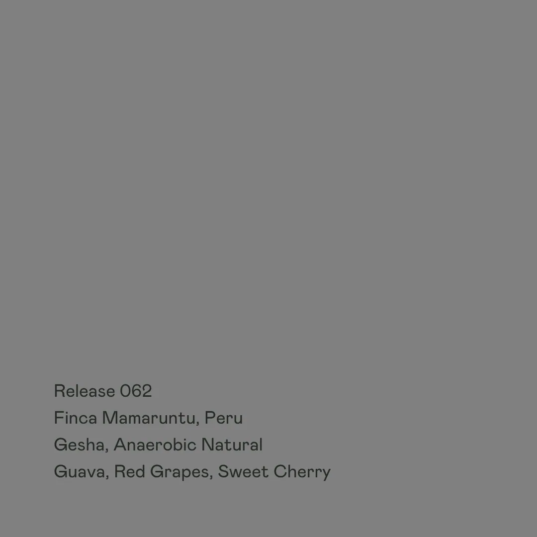 release 062 - finca mamaruntu, gesha anaerobic natural, peru coffee from special guests