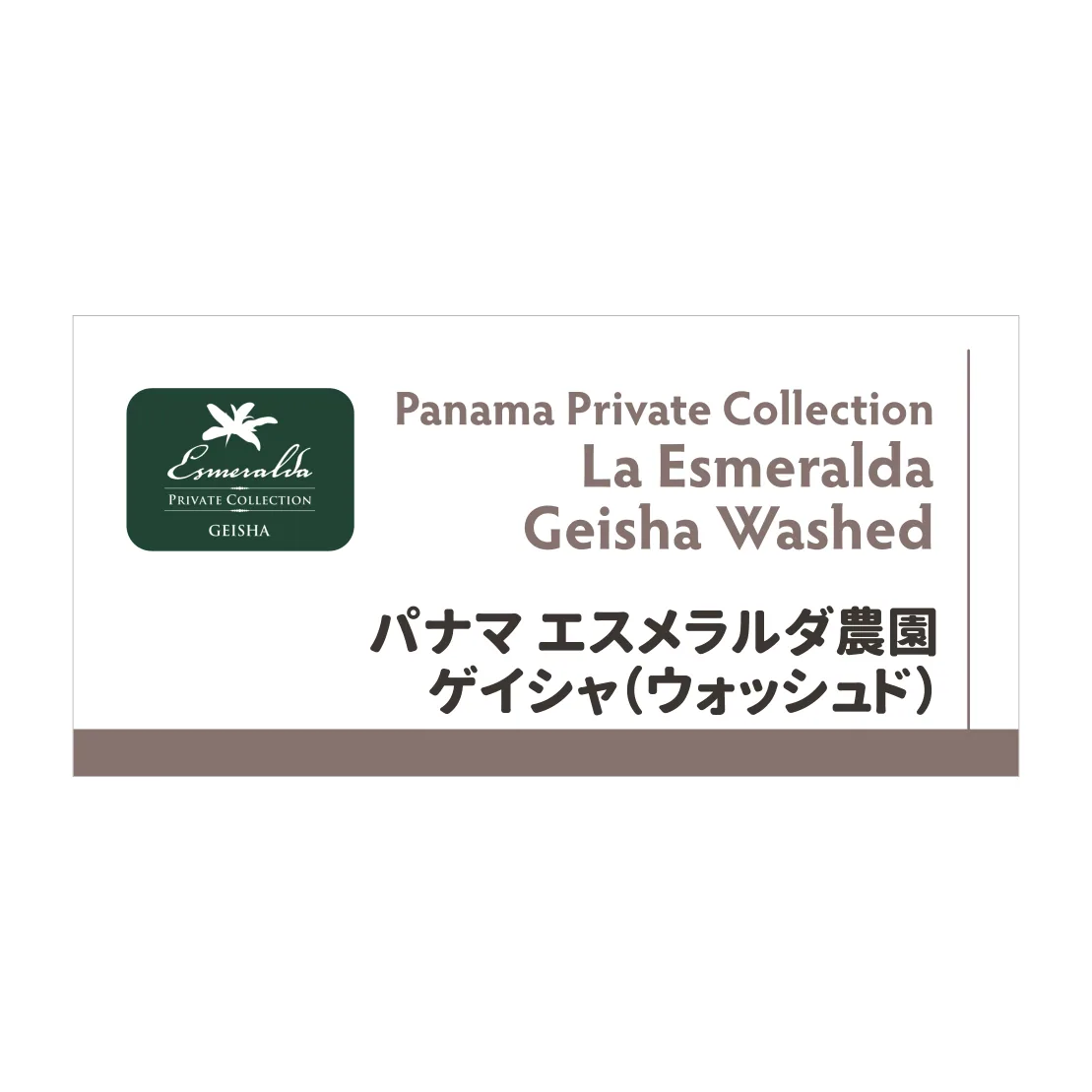 エスメラルダ ゲイシャ ウォッシュド, panama coffee from coffee roast sai