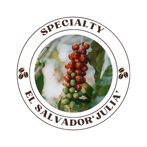 el salvador shg ‘julia’ – 250g, el salvador coffee from quists coffee