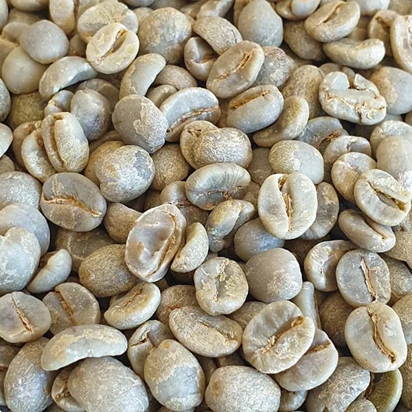 brazil ipanema rfa unroasted green coffee beans 1kg, brazil coffee from chiasso coffee roasters