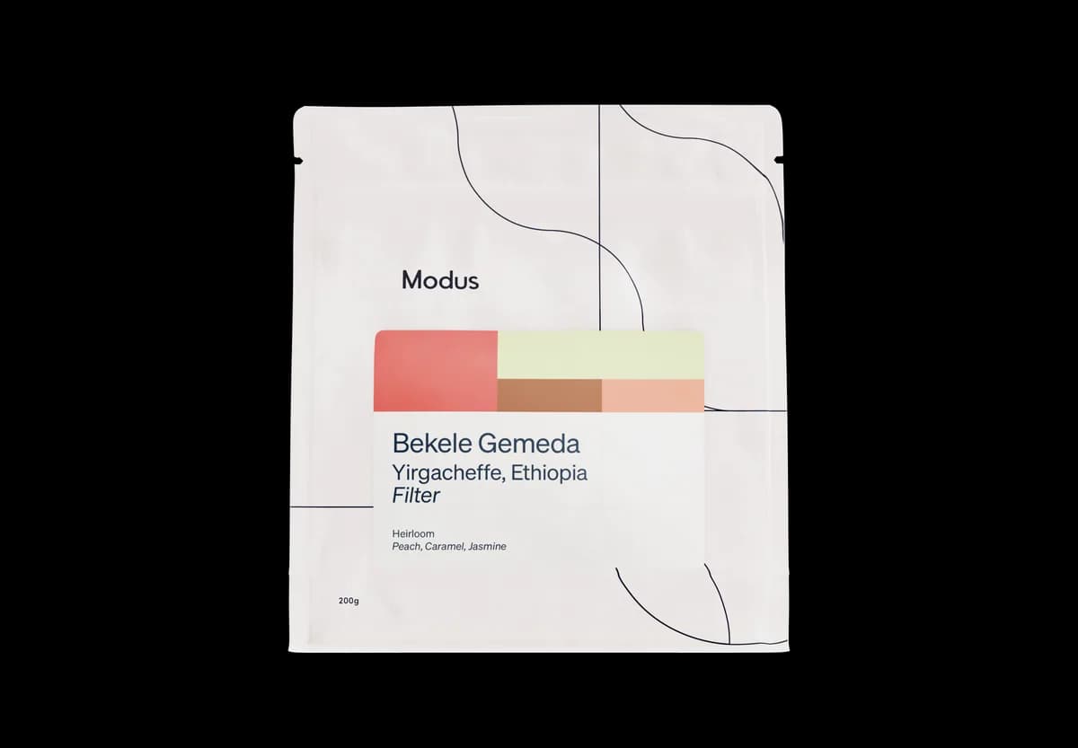 bekele gemeda | wholesale, ethiopia coffee from modus coffee